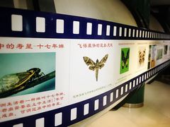 -上海昆虫博物馆