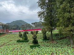 -广州市石门国家森林公园