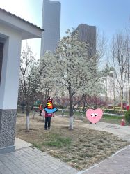 -大望京儿童游乐场