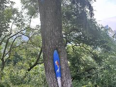 -龟山风景区-龟山电视塔