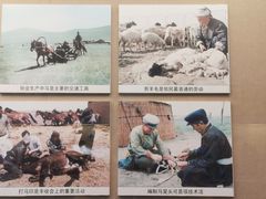 -呼伦贝尔民族博物馆