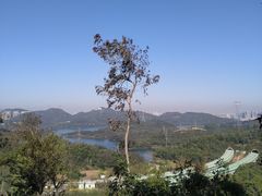 -深圳仙湖植物园