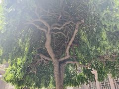 -梁思成纪念馆