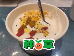 自制酸奶-紫光园·烤鸭(吕家营店)