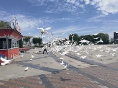 -泰达航母主题公园