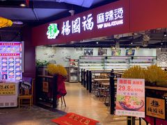-杨国福麻辣烫