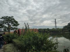 -顺峰山公园