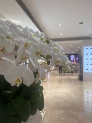 -深圳阳光医疗美容医院·旗舰店