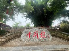 -大槐树寻根祭祖园