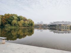 -杭州城北体育公园