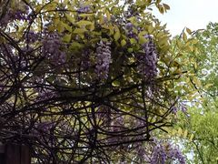 -浙江万里学院(钱湖校区)