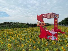 -东山风景区(洞庭东山)