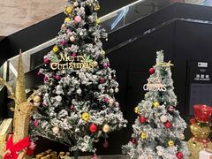 -郑州美豪雅高诺富特会展中心酒店