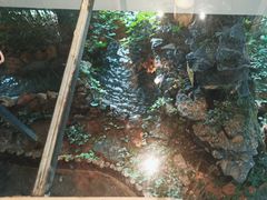 -缘福乡村铁锅炖民宿(八达岭店)