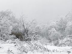 -嘉陵江源头景区