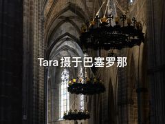 -巴塞罗那主教座堂