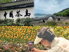 -天目湖山水园