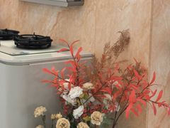 -红星美凯龙(浦江店)