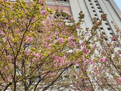 -长沙市青少年宫