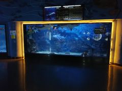 -烟台海昌鲸鲨海洋公园