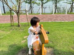 -金鸡湖桃花岛