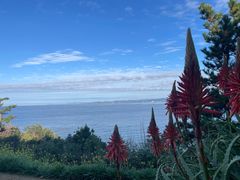 -南紀白浜 浜千鳥の湯 海舟