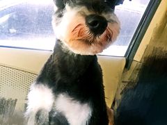 -北京博爱动物医院有限公司