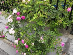 -白塘生态植物园