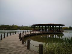 -淇河国家湿地公园