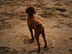 -白沙门生态公园