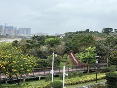 -立新湖公园