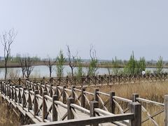 -野鸭湖国家湿地公园