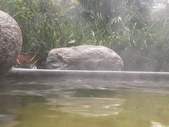 -青城道汤池