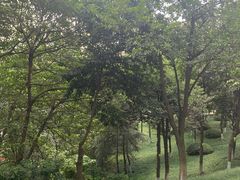 -重庆市江北嘴中央商务区中央公园