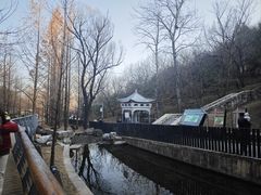 -白水寺森林公园