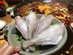 -白乐天毛肚火锅馆(解放碑店)