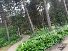 -黑龙江省森林植物园