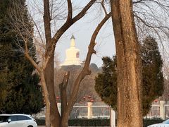 -国家图书馆·古籍馆