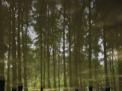 -金山植物公园