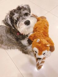 -Adore nail日式美甲美睫