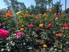 -人民公园(罗湖区)