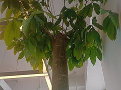 -WeWork中国(三里屯11号社区店)