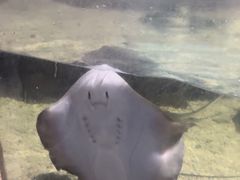 -南昌海洋公园