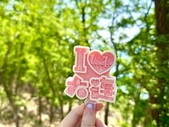 -慢丽江·云南野生菌土鸡锅(付家庄店)