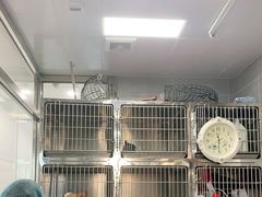 -宠福鑫康馨动物医院·骨科·眼科