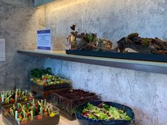 -嘉定凯悦·咖啡厅