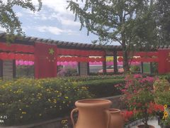 -成飞公园