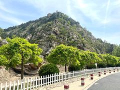 -金龙寺国家森林公园