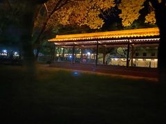 -永安龟山公园