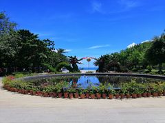 -亚龙湾中心广场